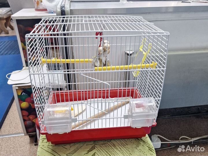 Клетка для попугая