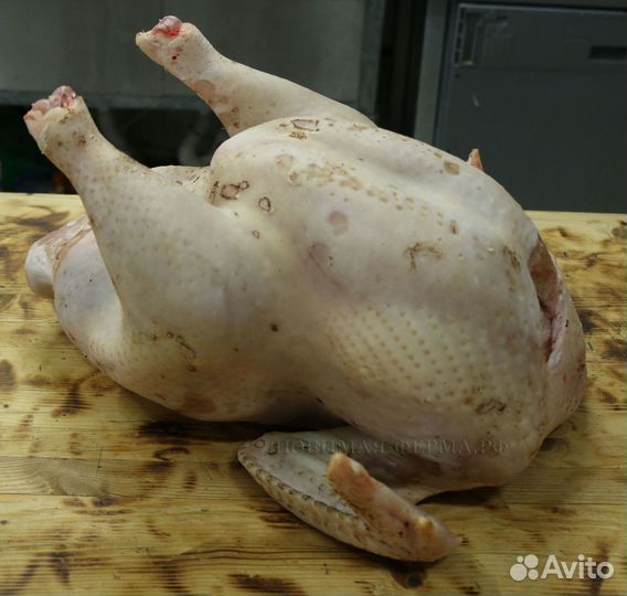 Мясо индейки