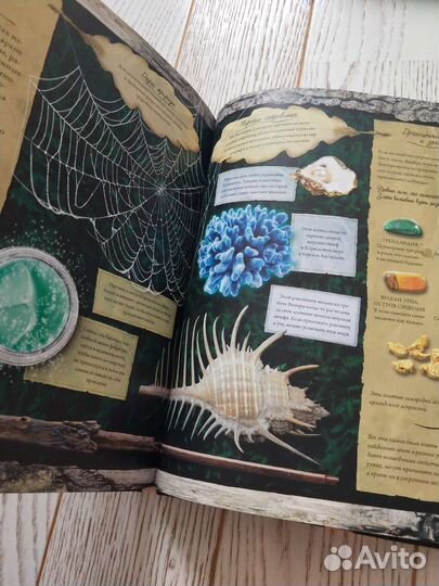 Книга Волшебная страна про фей