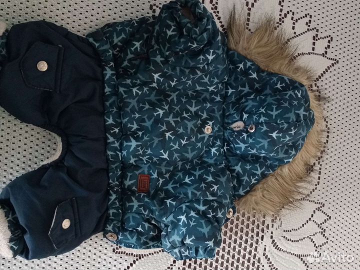 Одежда для собак