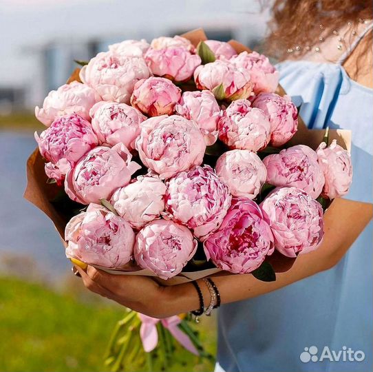 Пионы Розы Доставка