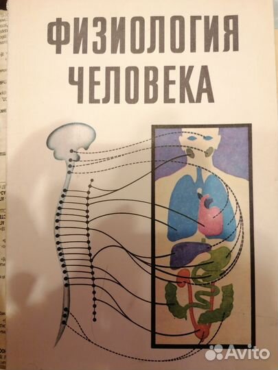 Физиология человека. Хрипкова. 1982