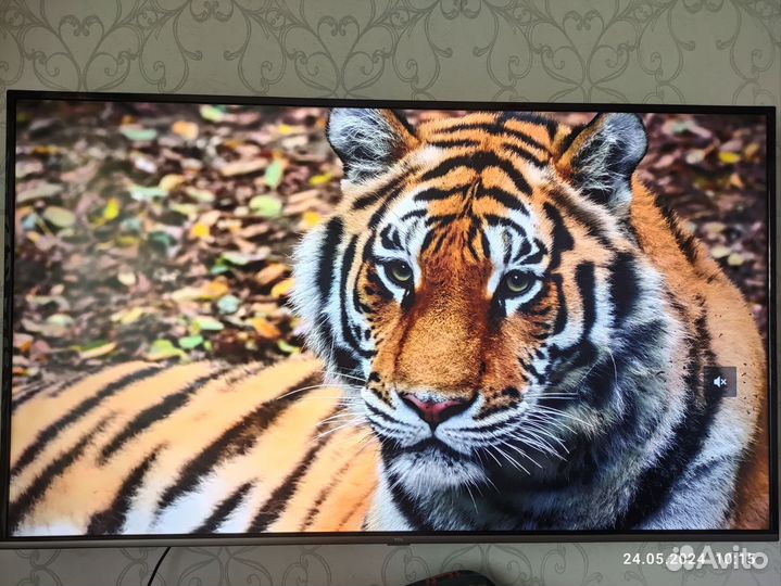 Телевизор tcl 65
