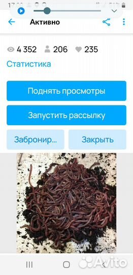 Червь для рыбалки навозник