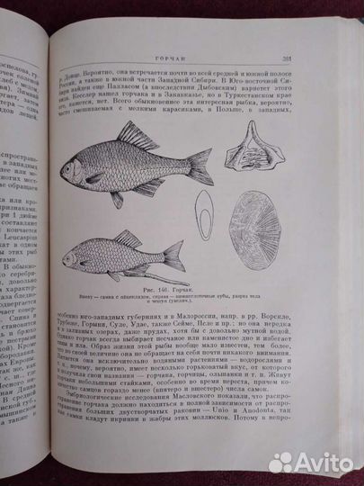 Охота, рыбалка, путешествия