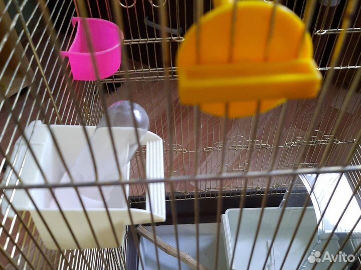 Клетка для птиц