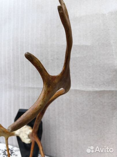 Рога оленя и лося