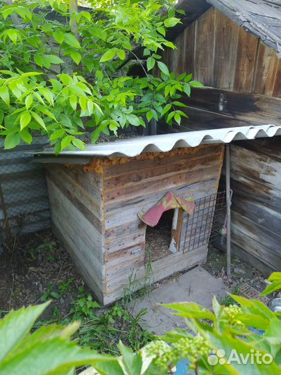 Будка для собаки утепленная бесплатно