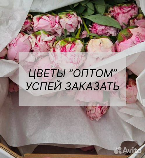 Цветы опт