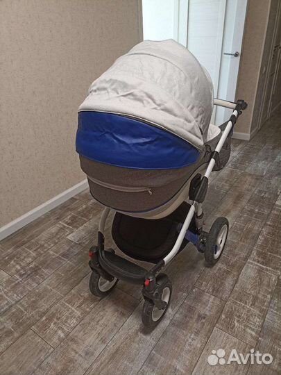 Коляска 2 в 1 adamex