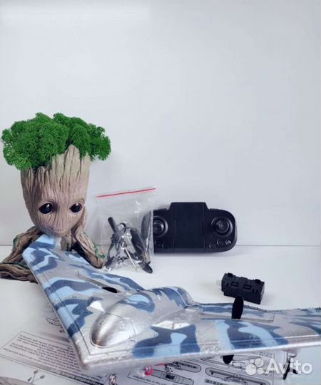 Самолёт на радиоуправлении