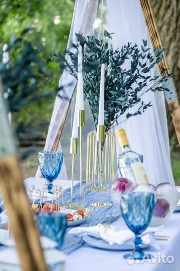 Организация праздников на природе