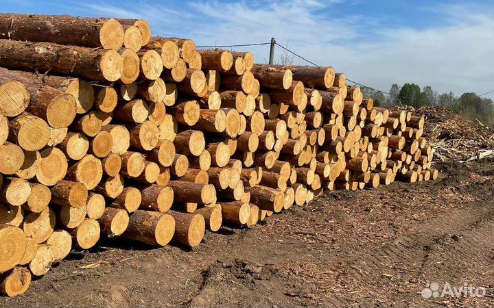 Доска,заборная.Пиломатериалы от производителя