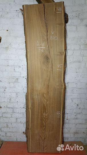 Слэбы карагач, акация, гледичия, каштан