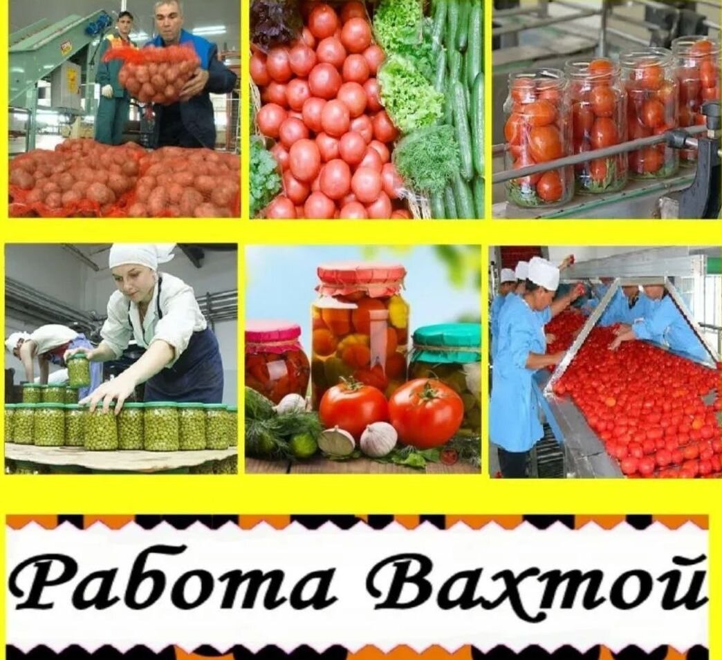 Комплектовщик. Упаковщик фруктов. Комплектовщик на склад. Краснодарский край ст новоминская консервный завод. Упаковщик комплектовщик.