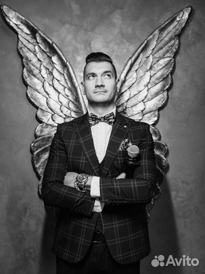 Ведущий + Event Dj Ди джей с оборудованием «2в1»