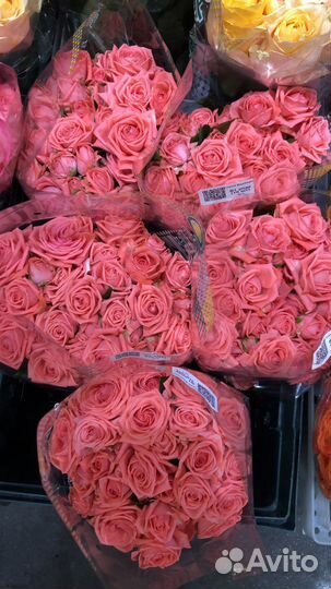 Цветы оптом розы