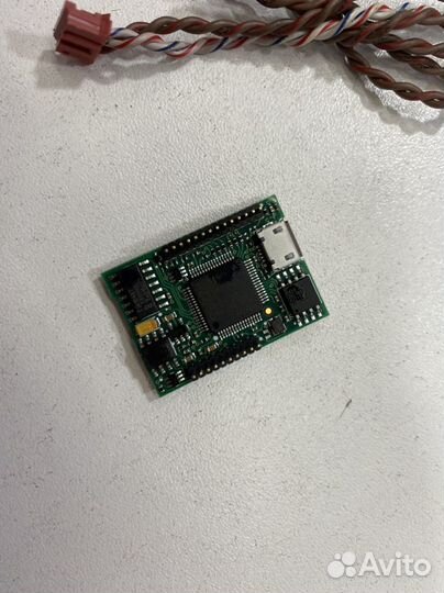 Can модуль starline