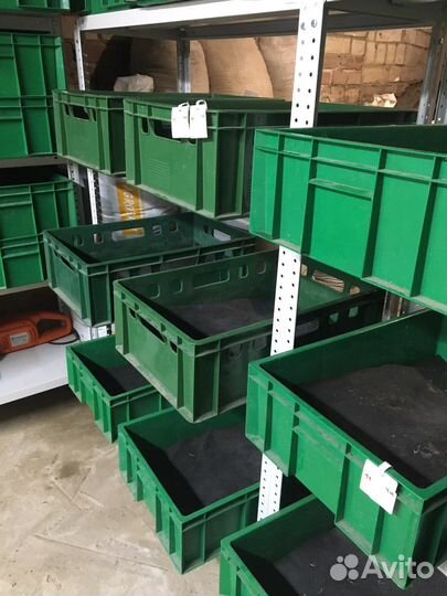 Биогумус с вермифермы