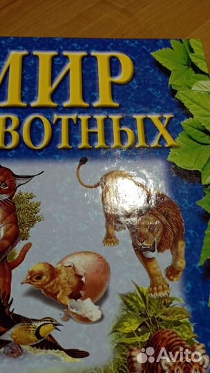 Мир животных (сборник ооо 