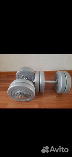 Гантели разборные по 10 кг