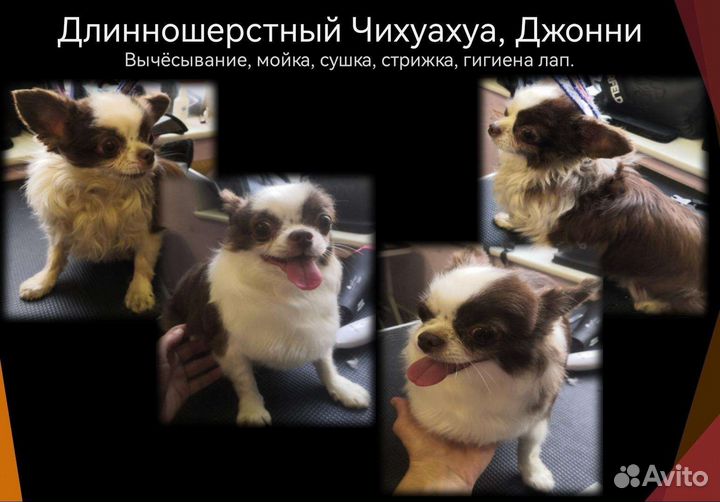 Грумер-универсал