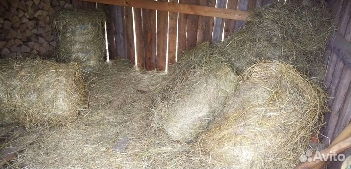 Сено солома