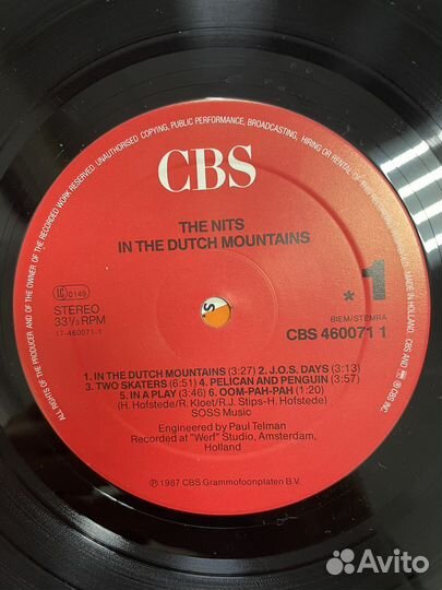 The nits In the Dutch mountains 1987 Holland винил
