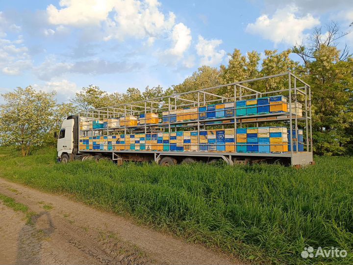 Мед белая акация 2024