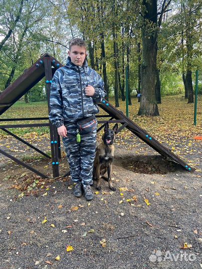 Выгульщик собак или Кинолог