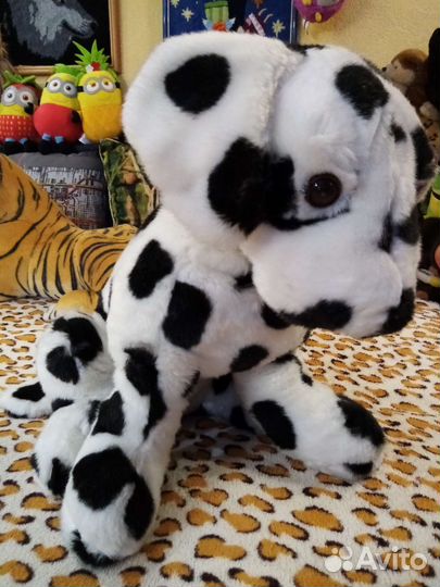 Собака далматин