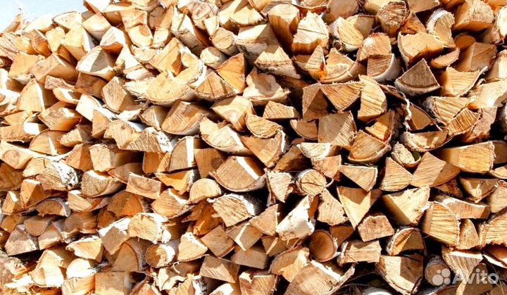 Дрова без плесени