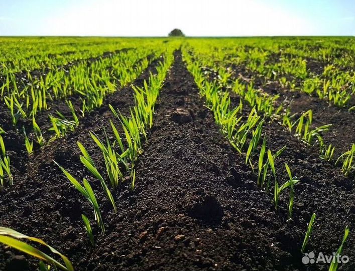 Чернозем с доставкой