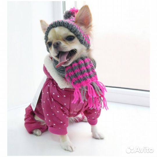 Одежда для собак и кошек