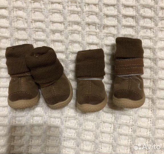 Ботинки новые для собаки мелкой породы petmax