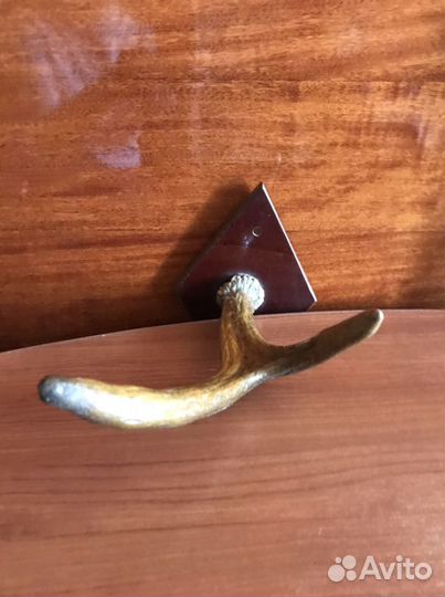 Рога лося и косули