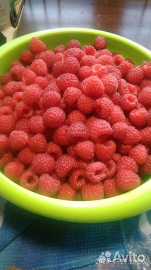 Малина ягоды свежие