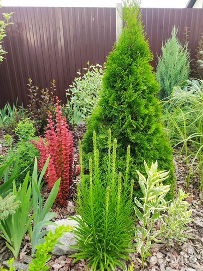 Сад.благоустройство