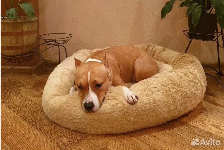 Лежанка для собаки и кошки