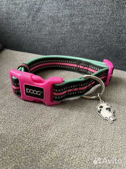 Амуниция для собак