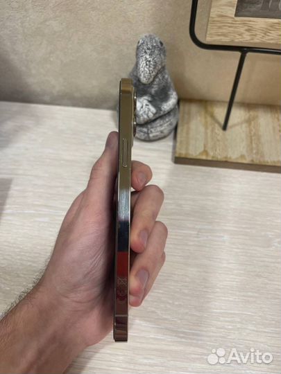 iPhone 12 pro Max 256gb