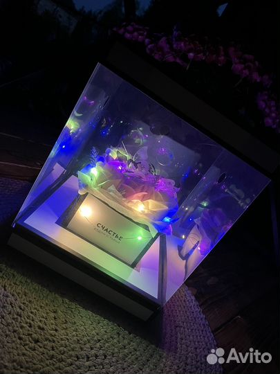 Розы бабочки