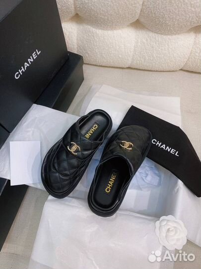 Мюли женские Chanel размеры 36-42