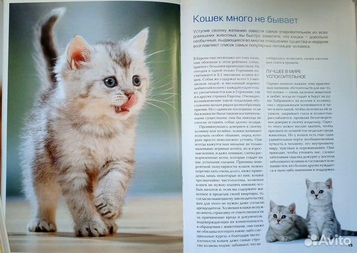 Книги о кошках (уход и воспитание) комплектом 3шт