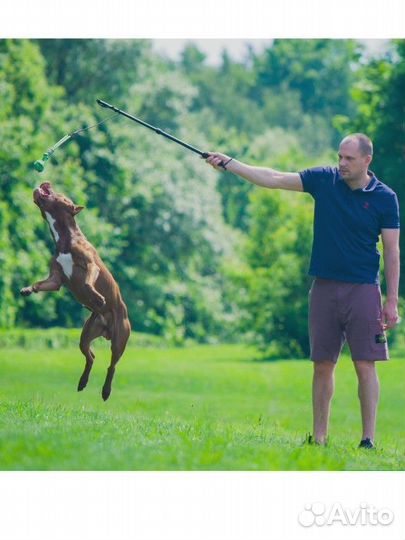 Удочка игрушка для собак