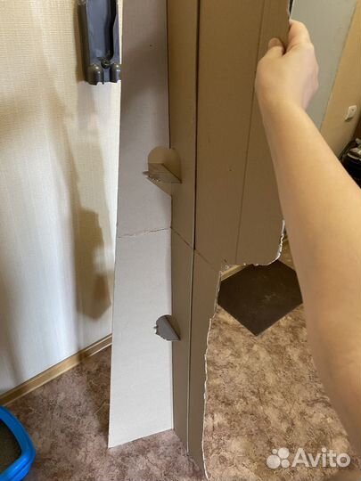 Картонная фигура Сергея Лазарева