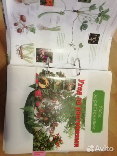 Буклет комнатные растения, 3 части