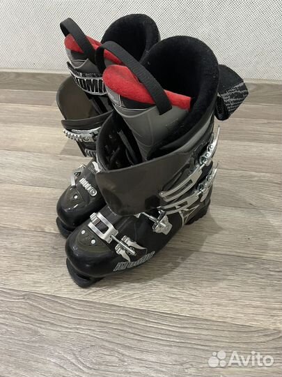 Горные лыжи fischer