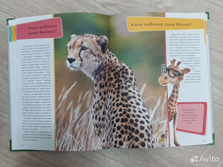 Детская энциклопедия