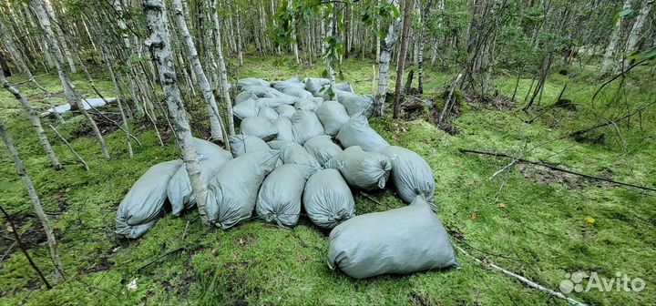 Мох сфагнум в мешках